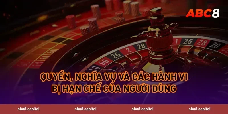 Quyền, nghĩa vụ và các hành vi bị hạn chế của người dùng